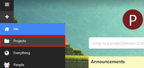 project panel left