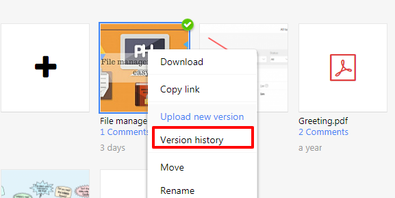 version history