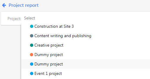 select project report