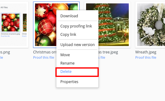 delete file