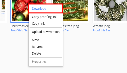 download file