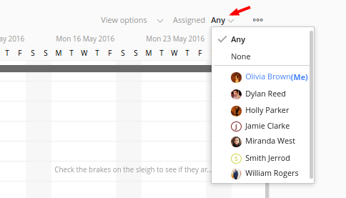 people filter gantt